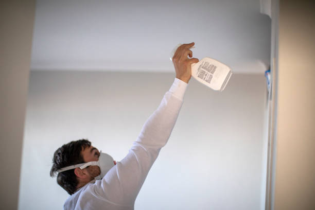 Best Insurance-Related Mold Remediation in Monrovia, CA