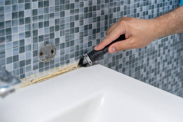 Best Kitchen Mold Remediation in Monrovia, CA