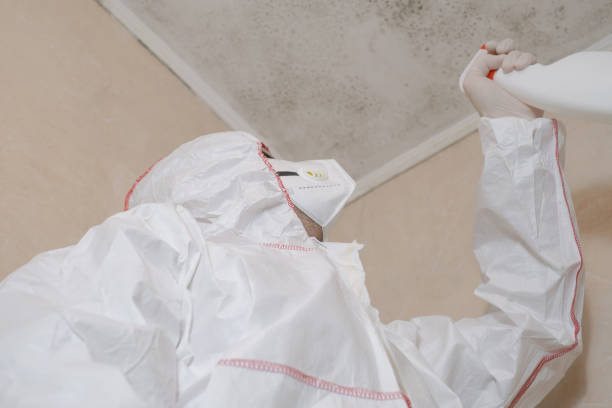 Best Bathroom Mold Remediation in Monrovia, CA